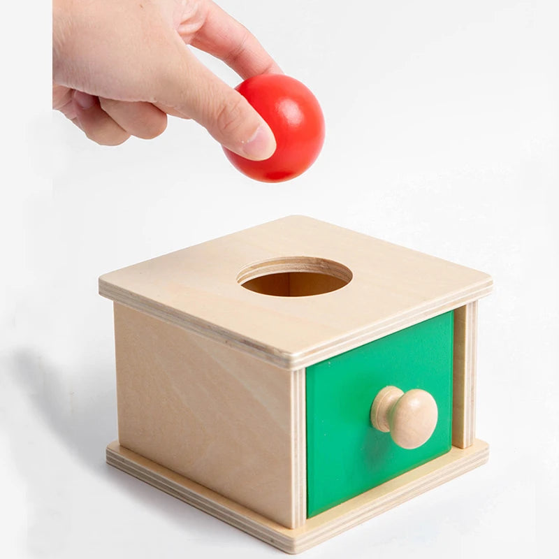 Wooden 2-in-1 Coin & Ball Box Montessori Toy – Kids Training Game
