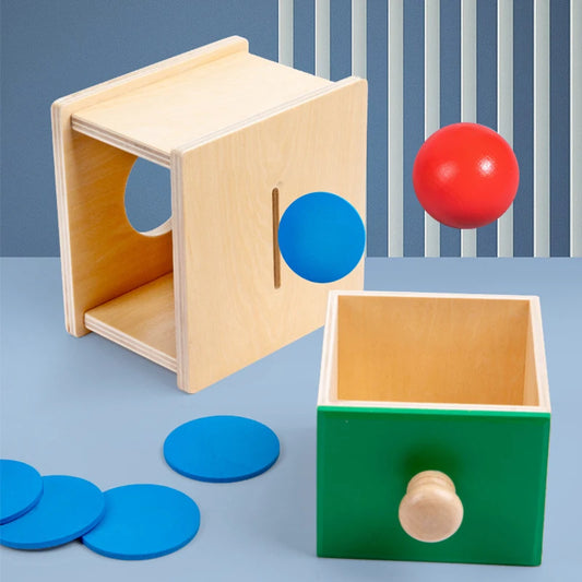 Wooden 2-in-1 Coin & Ball Box Montessori Toy – Kids Training Game